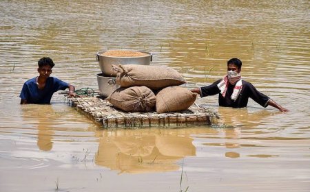 Assam Floods Update: असम में बाढ़ का तांडव; 5 लाख से अधिक लोग प्रभावित, मृतकों की संख्या 68 पहुंची