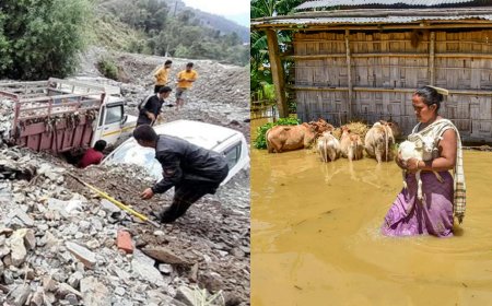 पहाड़ से पूर्वोत्तर तक मानसून ने मचाई भारी तबाही, अब तक 120 की मौत; हजारों लोग बेघर
