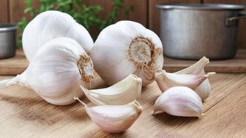Garlic Health Benefits: रोज खाली पेट खाएं लहसुन की 1-2 कलियां; बैड कोलेस्ट्रॉल घटाने से लेकर मजबूत पाचन तक मिलेंगे ये 5 जबरदस्त फायदे