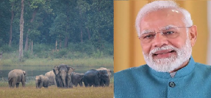 भारत में पाए जाते हैं दुनिया के 60 प्रतिशत जंगली एशियाई हाथी : पीएम मोदी