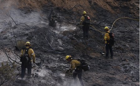 US Wildfire Crisis: नेवाडा-कैलिफोर्निया बॉर्डर पर भड़की भीषण जंगल की आग; 6 लोग झुलसे, 42 हजार नागरिकों को तुरंत इलाका खाली करने का आदेश