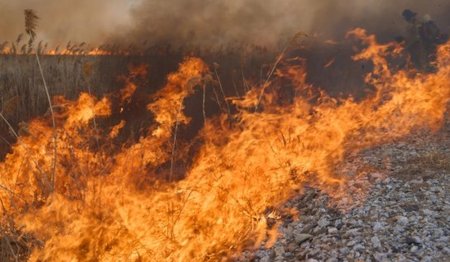 Colombia Wildfire Crisis: 'अल नीनो' के असर से कोलंबिया में धधक उठे जंगल; 30 हजार हेक्टेयर से अधिक वन व फसलें खाक, स्थानीय प्रशासन ने मांगी तत्काल हवाई मदद