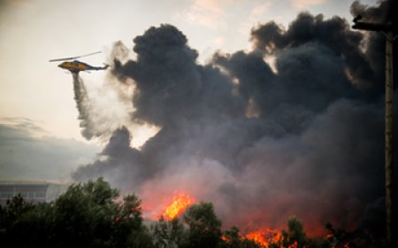 Belgium Wildfire Havoc: बेल्जियम में लगी भीषण आग से मचा हाहाकार; 2,000 हेक्टेयर से अधिक जमीन जलकर हुई राख, बुझाने में जुटीं आपातकालीन टीमें