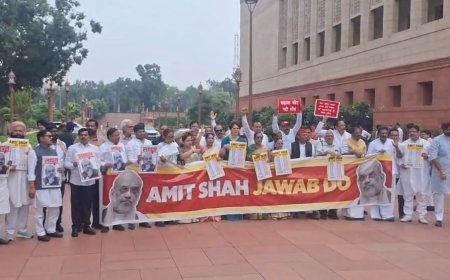 संसद परिसर में विपक्षी सांसदों ने किया विरोध प्रदर्शन, अमित शाह से सदन में जवाब देने की मांग