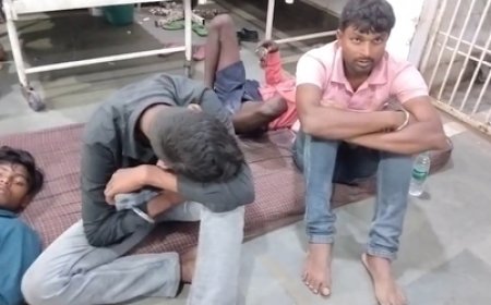 भिंड में भीषण सड़क हादसा: यूपी के लखीमपुर लौटते वक्त पिकअप डंपर से टकराई, 8 मजदूरों की मौत, 20 से ज्यादा घायल