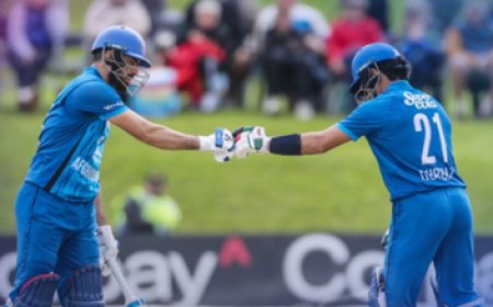 ODI World Cup 2027 Qualified Teams: वनडे विश्व कप 2027 के लिए अफगानिस्तान ने किया क्वालीफाई; मुख्य टूर्नामेंट की 10 टीमें हुईं तय