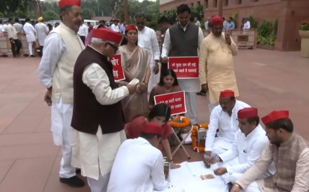 राम मंदिर चढ़ावा चोरी और जमीन सौदों पर सपा सांसदों का प्रदर्शन, संसद में चर्चा की मांग