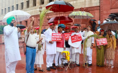 राम मंदिर चढ़ावे के मुद्दे पर सपा सांसदों का संसद में प्रदर्शन, अमित शाह से सदन में जवाब देने की मांग