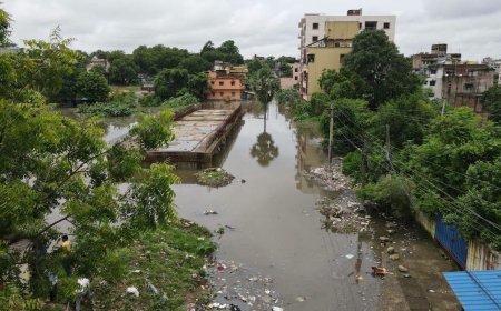 झारखंड में लगातार बारिश से नदियां उफान पर; जमशेदपुर-पलामू में बाढ़ का खतरा, कई जगह मुहल्लों में घुसा पानी
