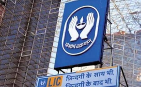 RBI Approves LIC Stake In HDFC Bank: भारतीय रिजर्व बैंक ने LIC को HDFC बैंक में हिस्सेदारी बढ़ाकर 9.99% तक करने की दी मंजूरी