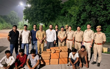  नोएडा एसटीएफ ने किया अंतरराज्यीय तस्करी गिरोह का भंडाफोड़, 150 किलो गांजा बरामद