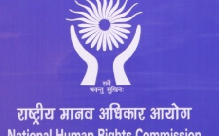 एनएचआरसी ने ‘एनालॉग पनीर’ पर मांगे जवाब, एफएसएसएआई और राज्यों को दो हफ्ते में देनी होगी रिपोर्ट 