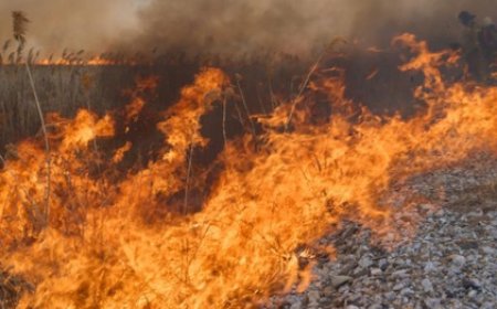 Colombia Wildfire Crisis: 'अल नीनो' के असर से कोलंबिया में धधक उठे जंगल; 30 हजार हेक्टेयर से अधिक वन व फसलें खाक, स्थानीय प्रशासन ने मांगी तत्काल हवाई मदद