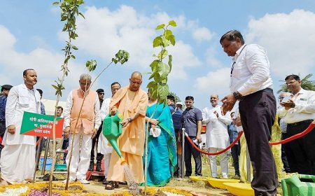 रक्षाबंधन पर पौधरोपण कर भाई-बहन लेंगे पर्यावरण संरक्षण का संकल्प, सीएम योगी की पहल ला रही रंग 