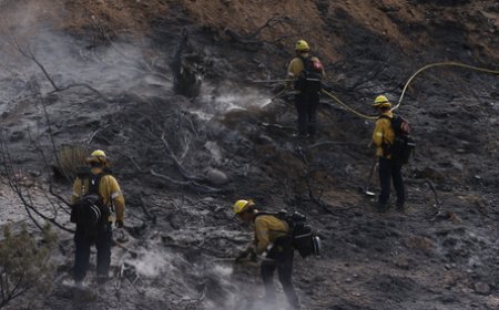 US Wildfire Crisis: नेवाडा-कैलिफोर्निया बॉर्डर पर भड़की भीषण जंगल की आग; 6 लोग झुलसे, 42 हजार नागरिकों को तुरंत इलाका खाली करने का आदेश