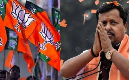 नितिन नवीन की नई टीम का ऐलान, स्मृति ईरानी सहित कई चेहरों को मिली बड़ी जिम्मेदारी 