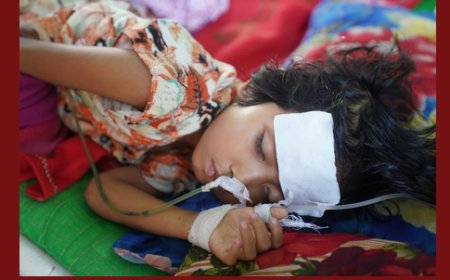 चांदीपुरा वायरस के प्रकोप की जांच तेज होने के साथ केंद्र ने तैनात किया राष्ट्रीय संयुक्त प्रकोप प्रतिक्रिया दल 
