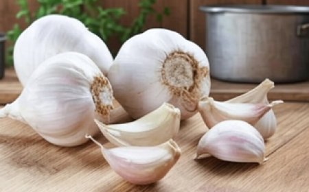 Garlic Health Benefits: रोज खाली पेट खाएं लहसुन की 1-2 कलियां; बैड कोलेस्ट्रॉल घटाने से लेकर मजबूत पाचन तक मिलेंगे ये 5 जबरदस्त फायदे