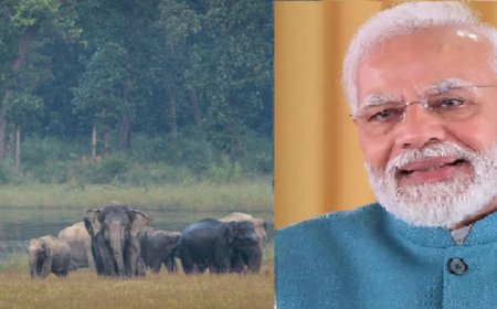 भारत में पाए जाते हैं दुनिया के 60 प्रतिशत जंगली एशियाई हाथी : पीएम मोदी