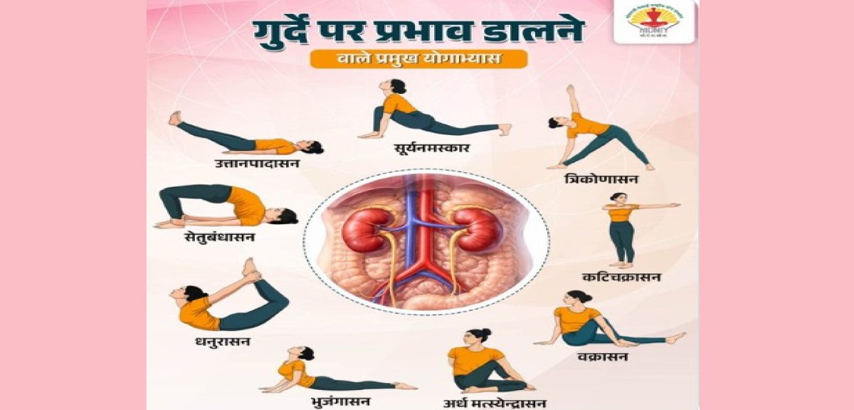 गुर्दे की सेहत के लिए वरदान हैं ये योगाभ्यास, जानें करने का सही तरीका 