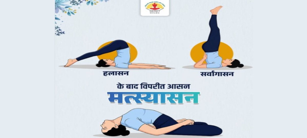 सर्वांगासन-हलासन के बाद क्यों जरूरी है मत्स्यासन, जानिए काउंटर पोज का महत्व 