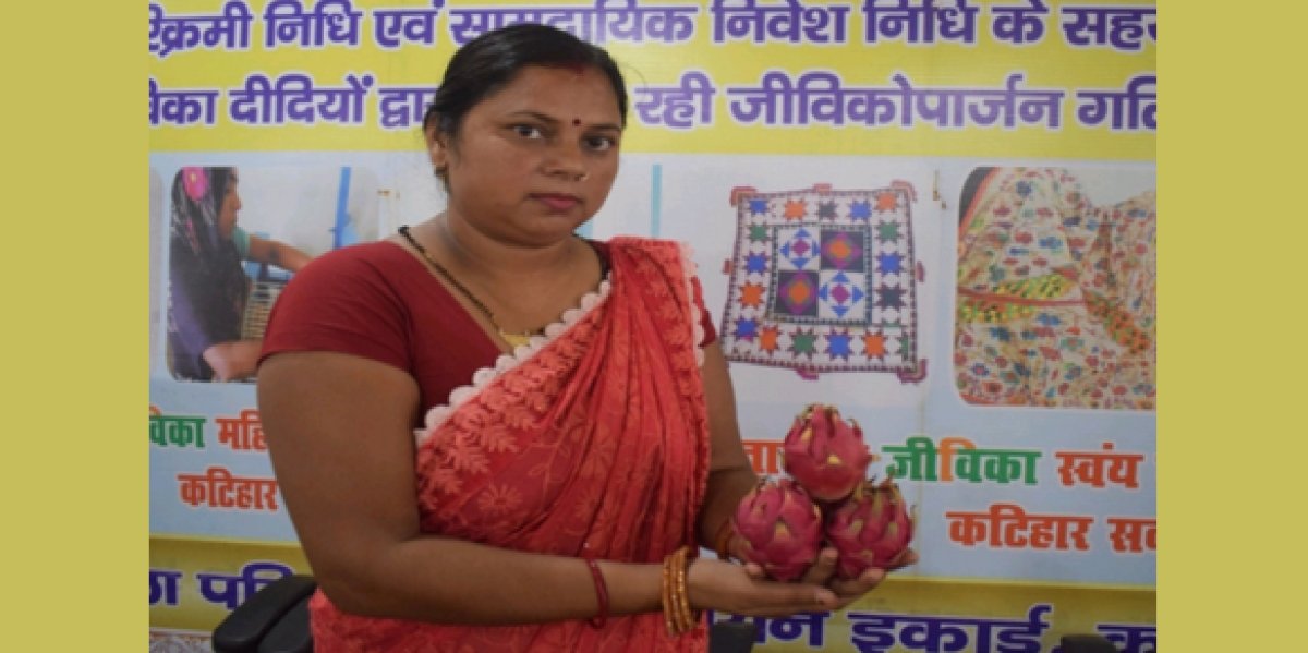 बिहार : ड्रैगन फ्रूट की खेती से खुली तरक्की की राह, रीना देवी बनीं गांव की प्रेरणा