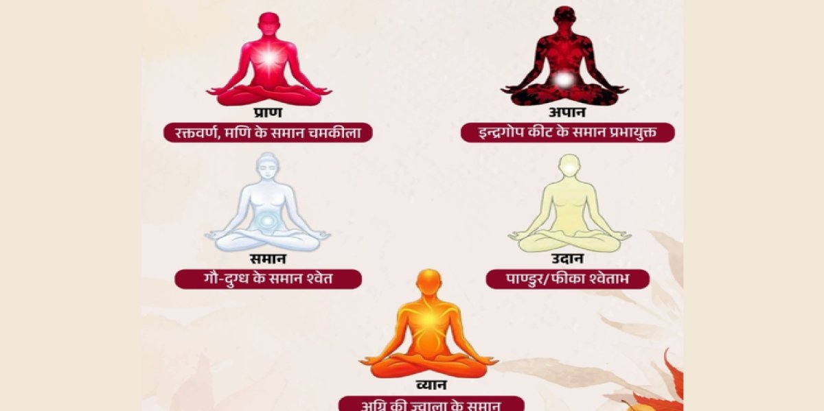 शरीर में बहती हैं 5 प्राण ऊर्जाएं, जानिए इनके रंग और काम  