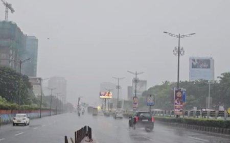 भारी बारिश से थमी मुंबई की रफ्तार; नालासोपारा, कुर्ला और दादर में गंभीर जलभराव 