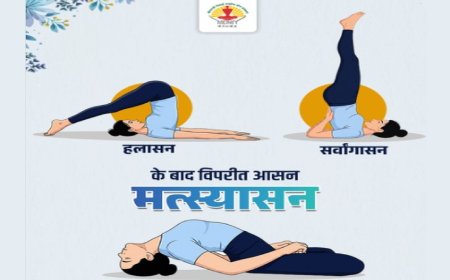 सर्वांगासन-हलासन के बाद क्यों जरूरी है मत्स्यासन, जानिए काउंटर पोज का महत्व 