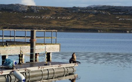 फॉकलैंड द्वीप विवाद: अर्जेंटीना इजरायली ऊर्जा कंपनी के खिलाफ आपराधिक मामला दर्ज करेगा