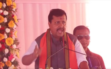 मेरठ में नितिन नवीन ने विपक्ष पर जमकर साधा निशाना, बोले... भीमराव अंबेडकर को भी अपमानित करने का काम सपा, कांग्रेस ने किया