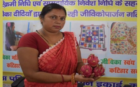 बिहार : ड्रैगन फ्रूट की खेती से खुली तरक्की की राह, रीना देवी बनीं गांव की प्रेरणा