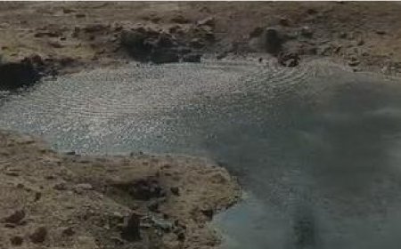 राजकोट नगर निगम ने ड्रोन और एआई की मदद से लगाया मच्छरों के पनपने की 4,731 संभावित जगहों की पता, किया छिड़काव