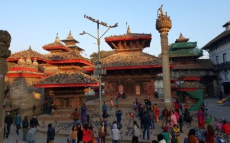 नेपाल में बिना फिजिकल पासपोर्ट घूम सकेंगे विदेशी पर्यटक; इमिग्रेशन विभाग ला रहा 'पासपोर्ट-फ्री ट्रैवल' मोबाइल ऐप सिस्टम