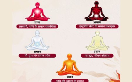 शरीर में बहती हैं 5 प्राण ऊर्जाएं, जानिए इनके रंग और काम  