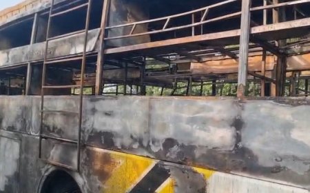 यमुना एक्सप्रेसवे पर चलती डबल डेकर बस में लगी भीषण आग, 9 यात्री जिंदा जले 