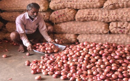 भारत में खुदरा महंगाई  अगस्त में बढ़कर 4.82 प्रतिशत पर पहुंची, सोना-चांदी और खाद्य कीमतों ने बढ़ाया दबाव