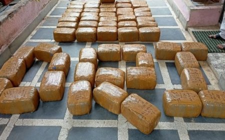 डीआरआई की बड़ी कार्रवाई: 15 दिनों में 740 किलो मादक पदार्थ जब्त, 13 आरोपी गिरफ्तार