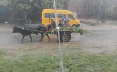 बिजनौर के नगीना में बदला मौसम का मिजाज, लोगों को गर्मी से मिली राहत; तापमान गिरा, होने लगा ठंड का एहसास