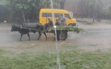 बिजनौर के नगीना में बदला मौसम का मिजाज, लोगों को गर्मी से मिली राहत; तापमान गिरा, होने लगा ठंड का एहसास