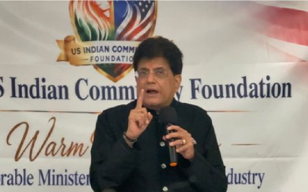 पीयूष गोयल ने भारत को ग्लोबल डेटा हब के तौर पर पेश किया