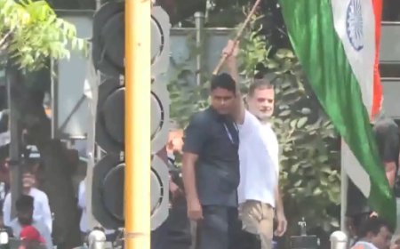 इंडिया गठबंधन मार्च: बैरिकेडिंग पर चढ़कर राहुल ने लहराया तिरंगा, धरने से आई तस्वीर